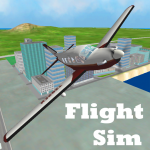 Flight Sim